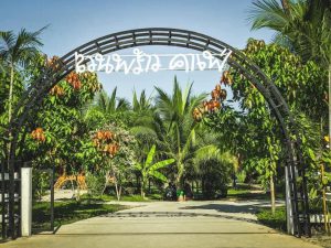 Read more about the article สวนพร้าวคาเฟ่